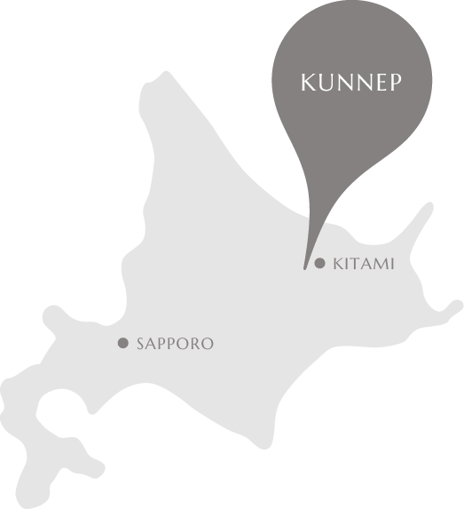 北海道くんねっぷ牛乳ジェラート